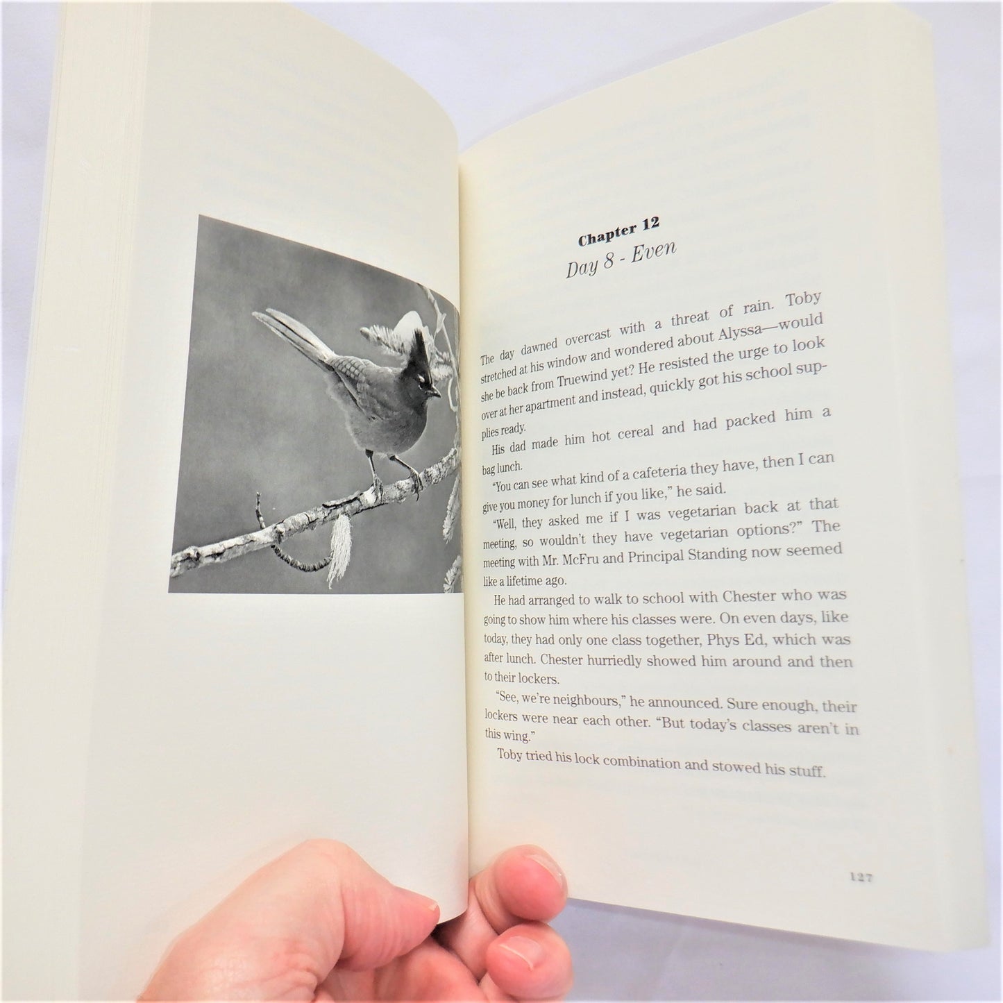 BEOGALL'S CHOICE…How a Boy and a Bird Rescue Nature, A Teen Youth Novel by G.G. Neilson (1st Ed. SIGNED)