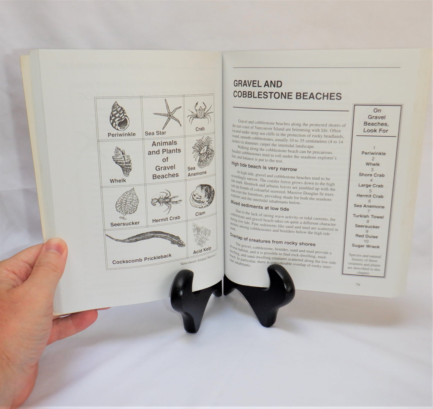 VANCOUVER ISLAND SHORES, Seashore exploring for the novice, by Lynda A. Colbeck (1st Ed. SIGNED)