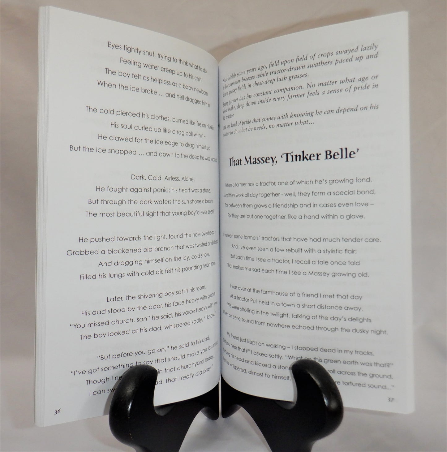 TALES OF THE INTERLAKE, A Collection of Strange Rural Stories for all ages, by Carol Gardarsson (1st Ed. SIGNED)