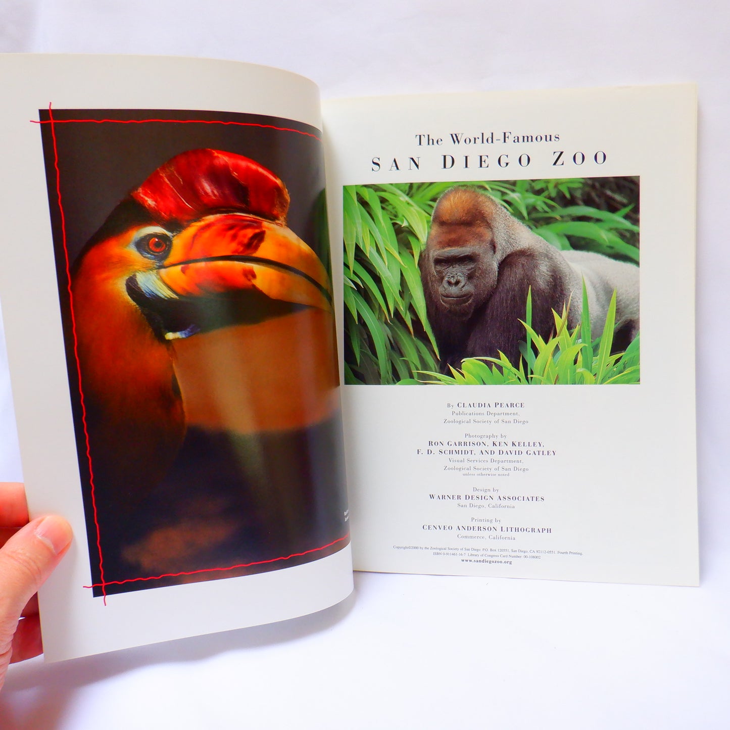 THE WORLD FAMOUS SAN DIEGO ZOO, and THE SAN DIEGO WILD ANIMAL PARK, Tourist Souvenir Guides, 2000 (A Paul's 2-Pack Special)