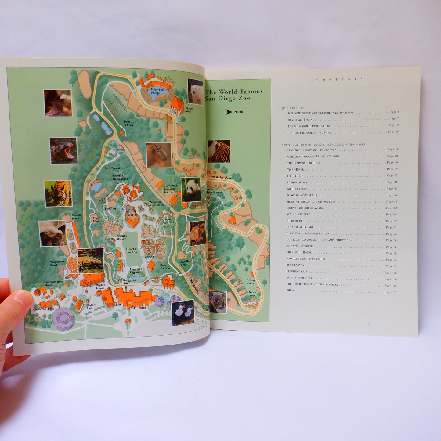 THE WORLD FAMOUS SAN DIEGO ZOO, and THE SAN DIEGO WILD ANIMAL PARK, Tourist Souvenir Guides, 2000 (A Paul's 2-Pack Special)