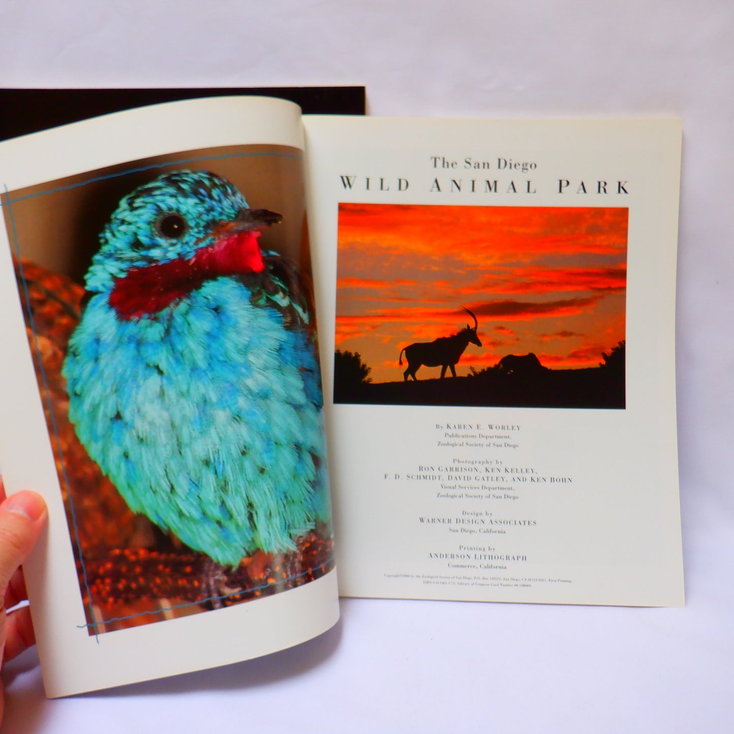 THE WORLD FAMOUS SAN DIEGO ZOO, and THE SAN DIEGO WILD ANIMAL PARK, Tourist Souvenir Guides, 2000 (A Paul's 2-Pack Special)