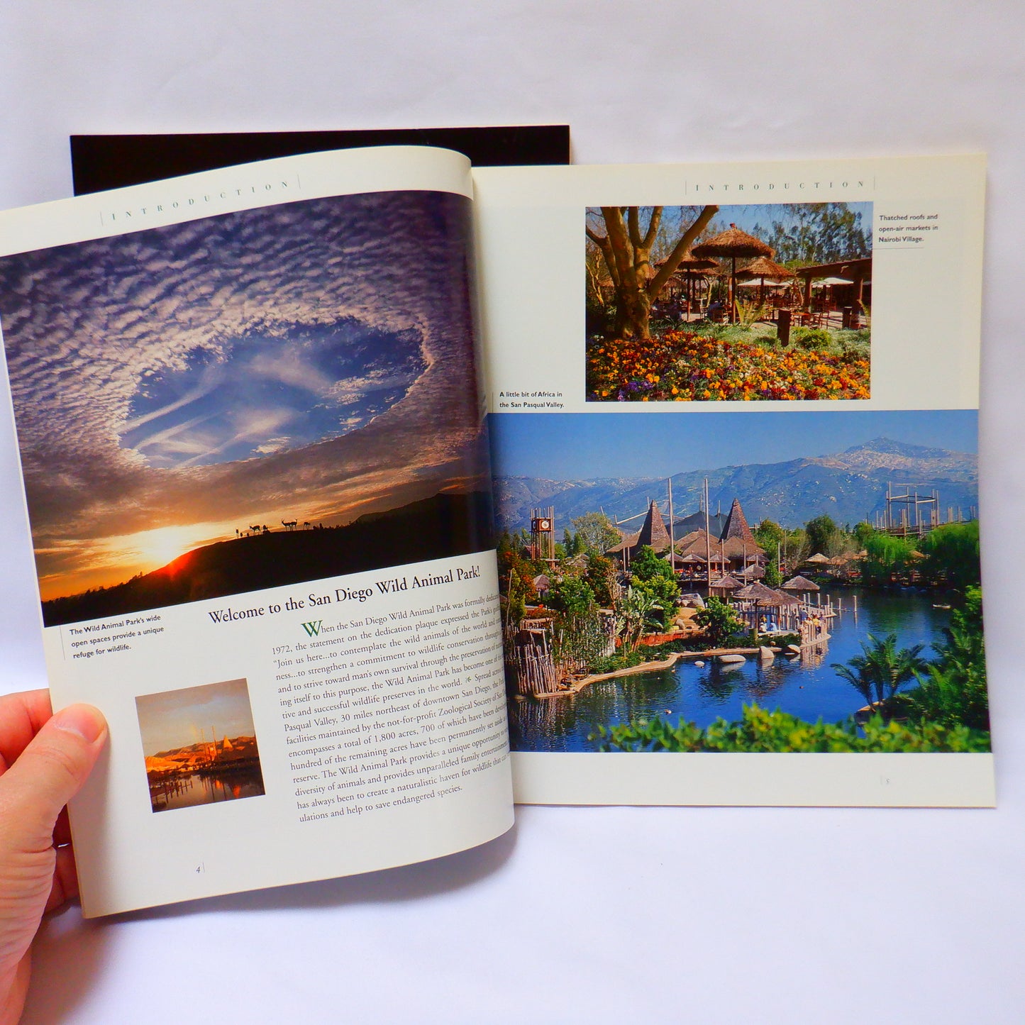 THE WORLD FAMOUS SAN DIEGO ZOO, and THE SAN DIEGO WILD ANIMAL PARK, Tourist Souvenir Guides, 2000 (A Paul's 2-Pack Special)