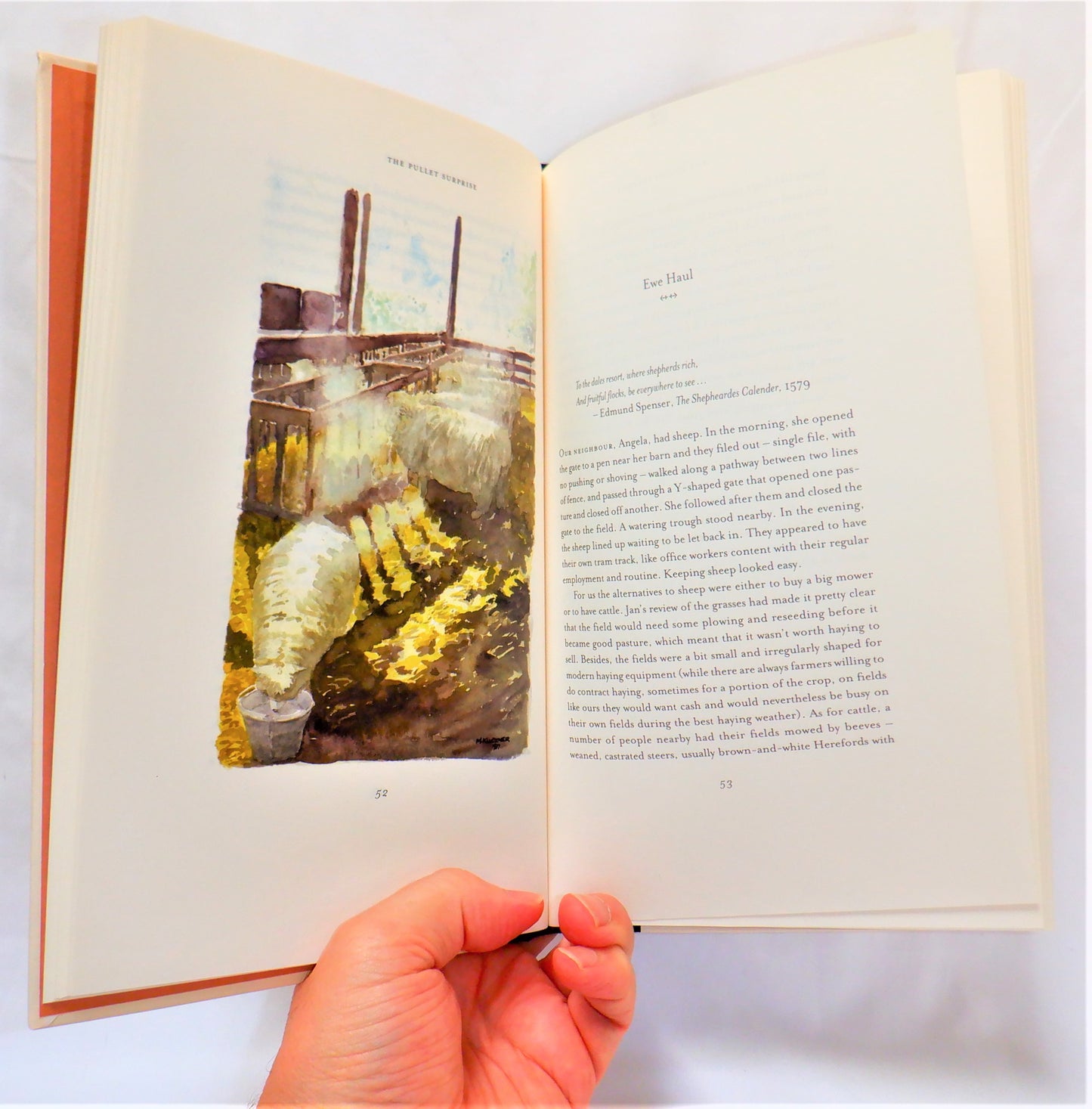 THE PULLET SURPRISE…A Year on an Urban Farm, by Michael Kluckner (1997 1st Ed.)
