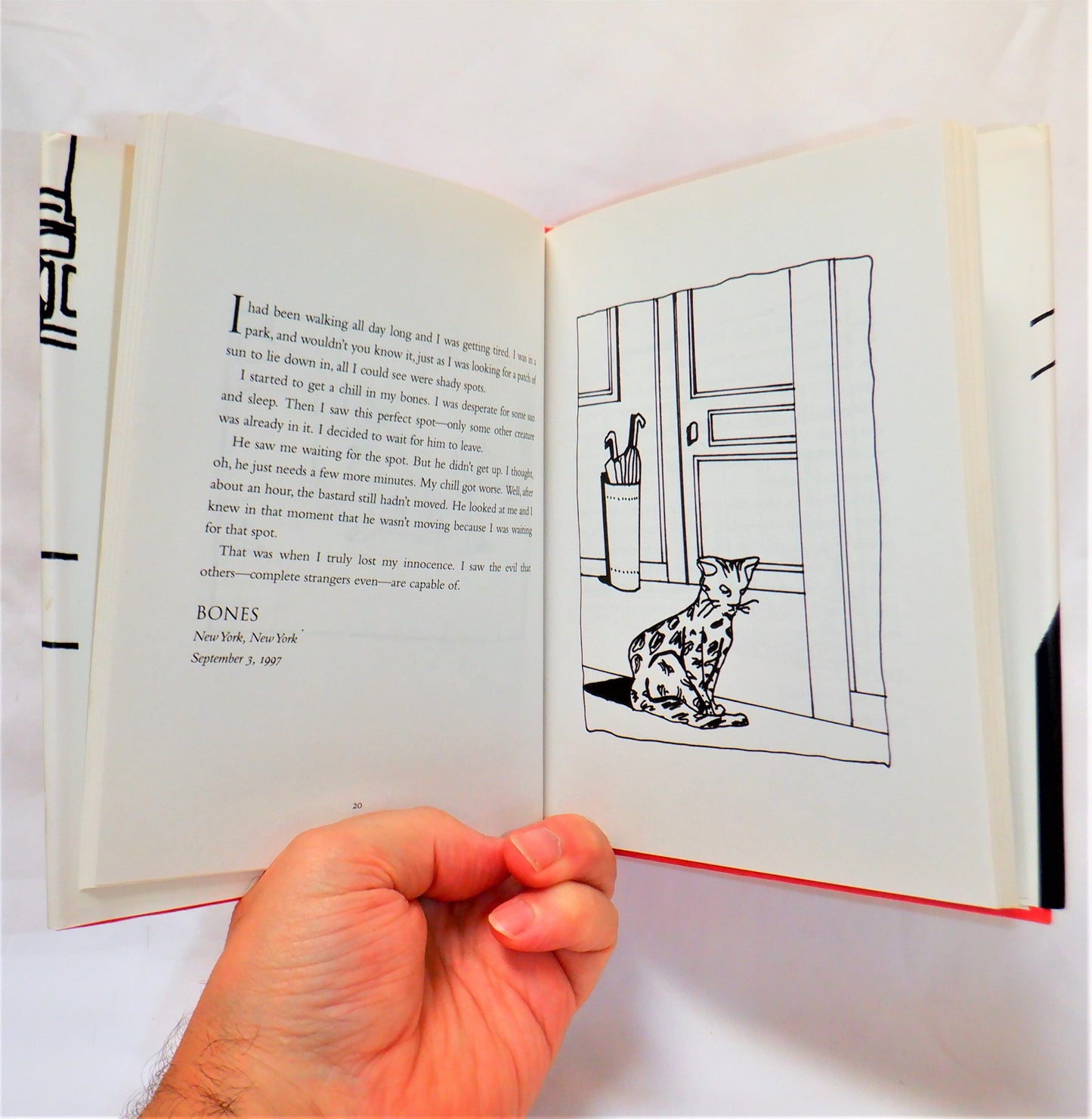 THE CAT THAT CHANGED MY LIFE, 50 Cats Talk Candidly, Bruce Eric Kaplan (2002 1st Ed.)