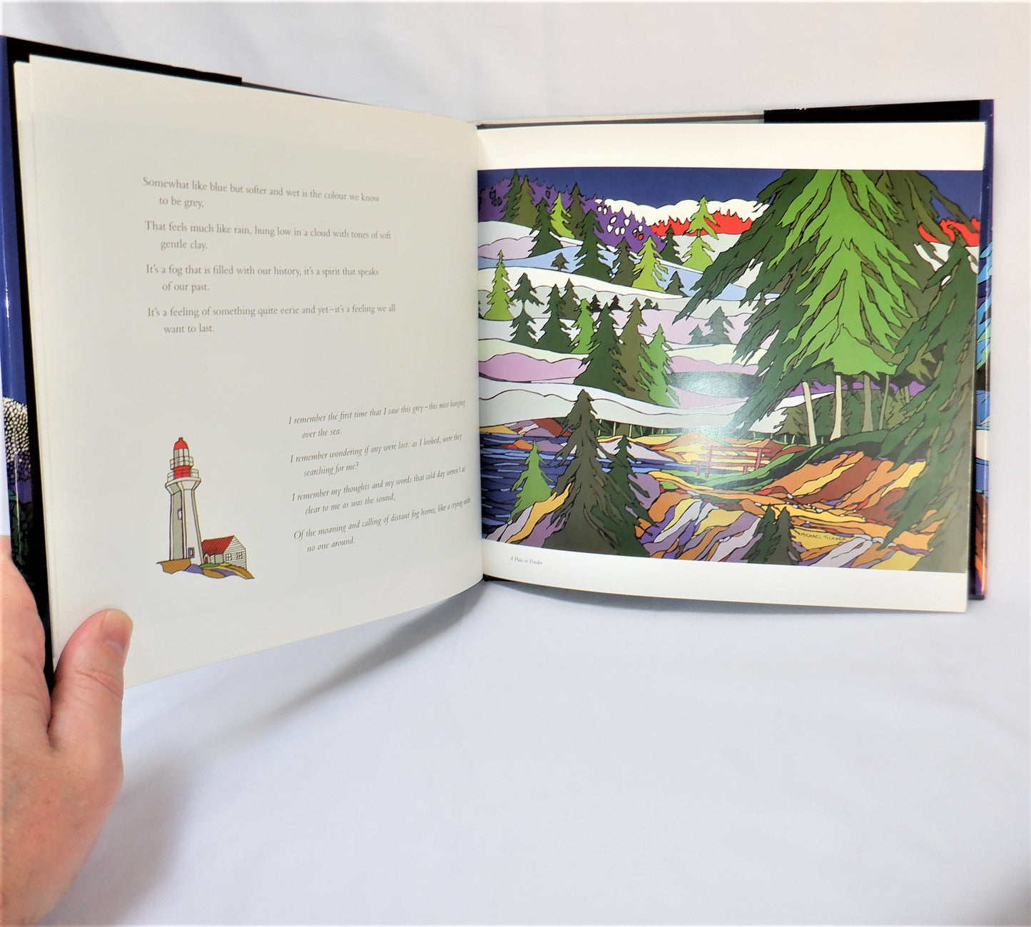 THE COLOURS OF BRITISH COLUMBIA, by David Bouchard & Paintings by Michael Tickner (1st Ed. SIGNED)