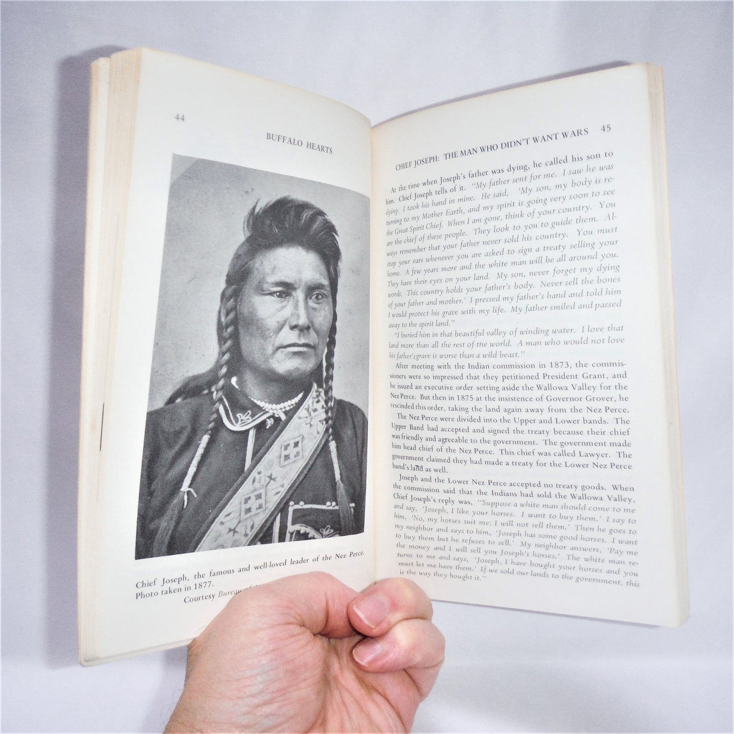 BUFFALO HEARTS, A Native American's View of His Culture, Religion and History, by Sun Bear, 1978