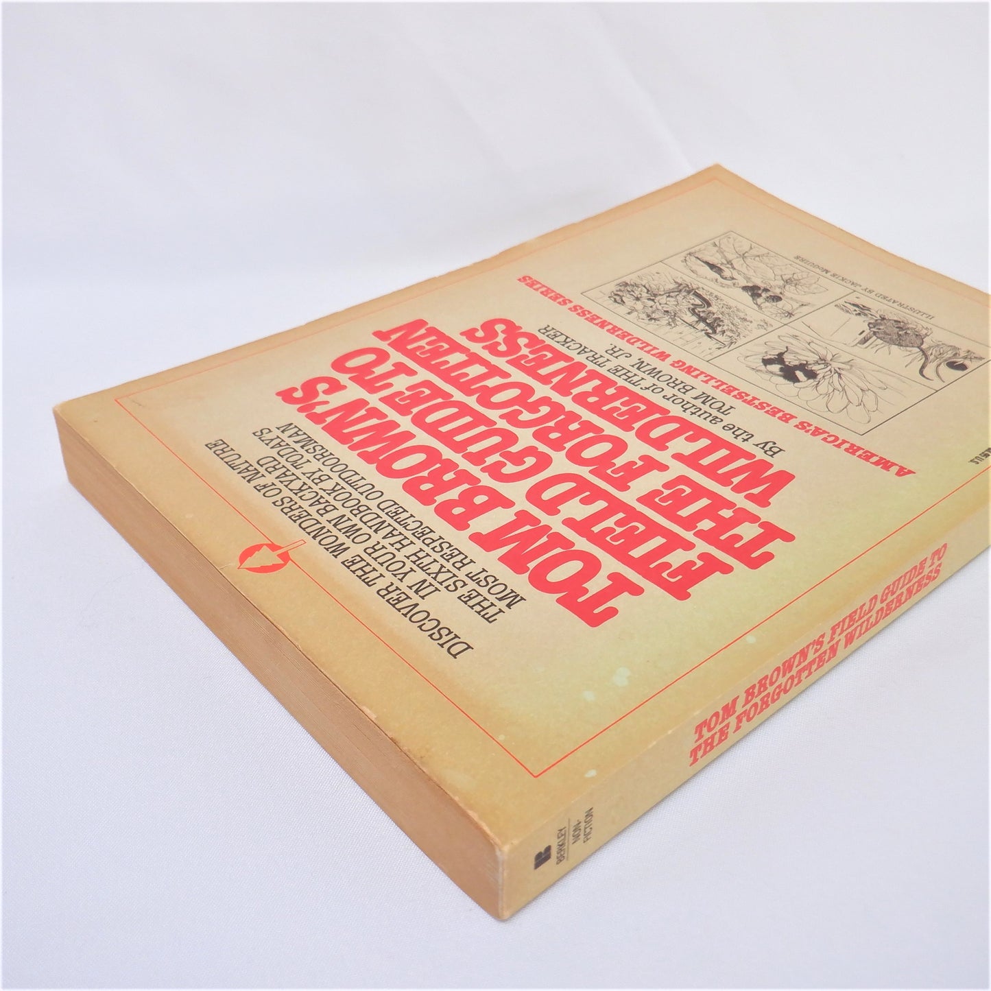 TOM BROWN'S FIELD GUIDE TO THE FORGOTTEN WILDERNESS, by Tom Brown Jr. (1987 1st Ed.)