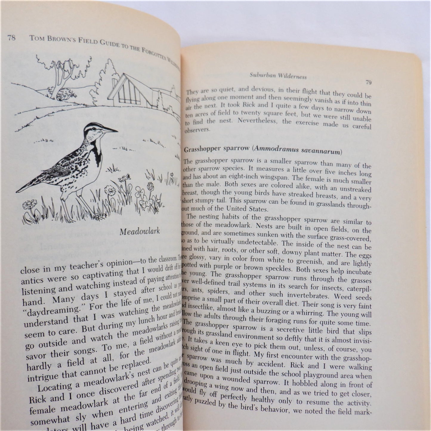 TOM BROWN'S FIELD GUIDE TO THE FORGOTTEN WILDERNESS, by Tom Brown Jr. (1987 1st Ed.)