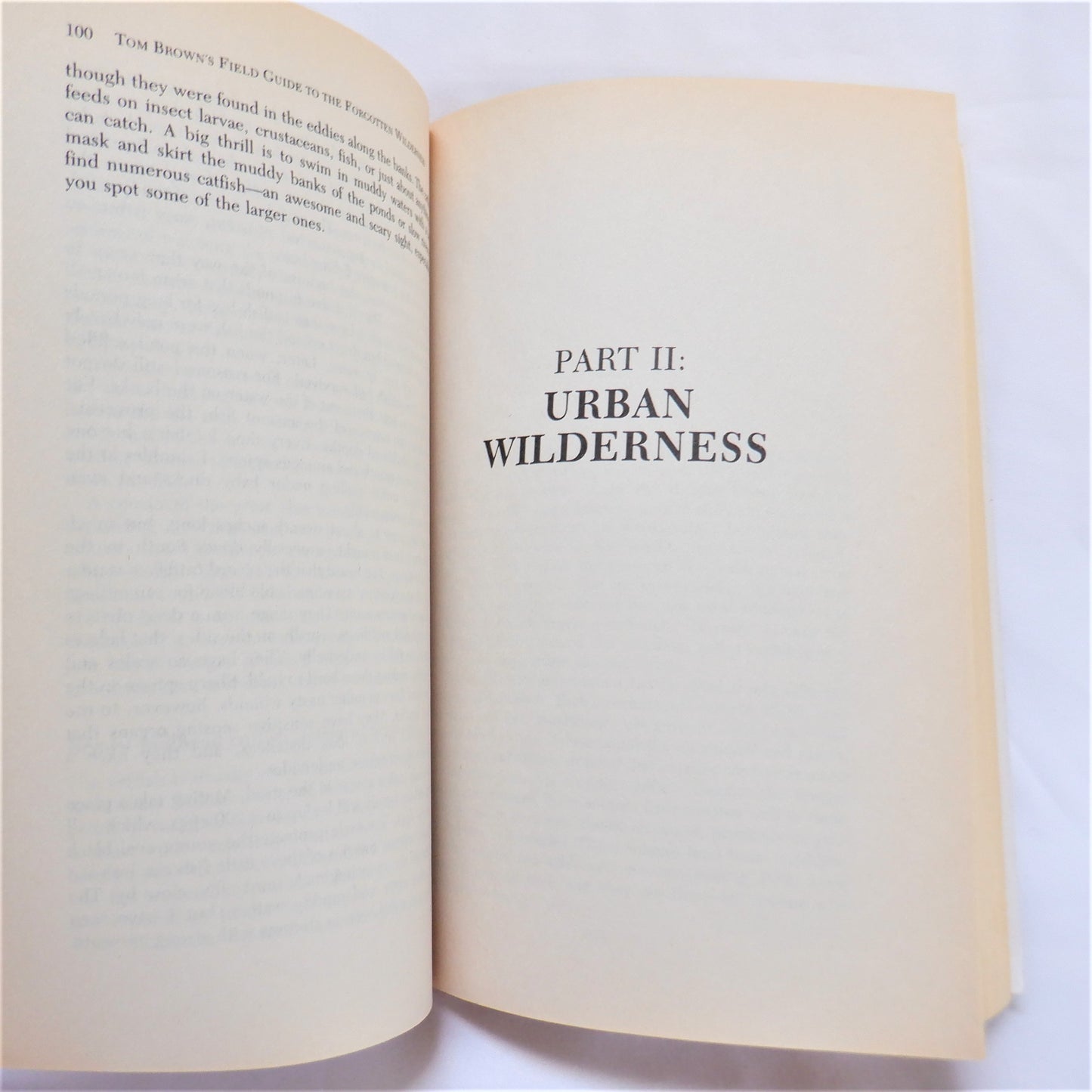 TOM BROWN'S FIELD GUIDE TO THE FORGOTTEN WILDERNESS, by Tom Brown Jr. (1987 1st Ed.)