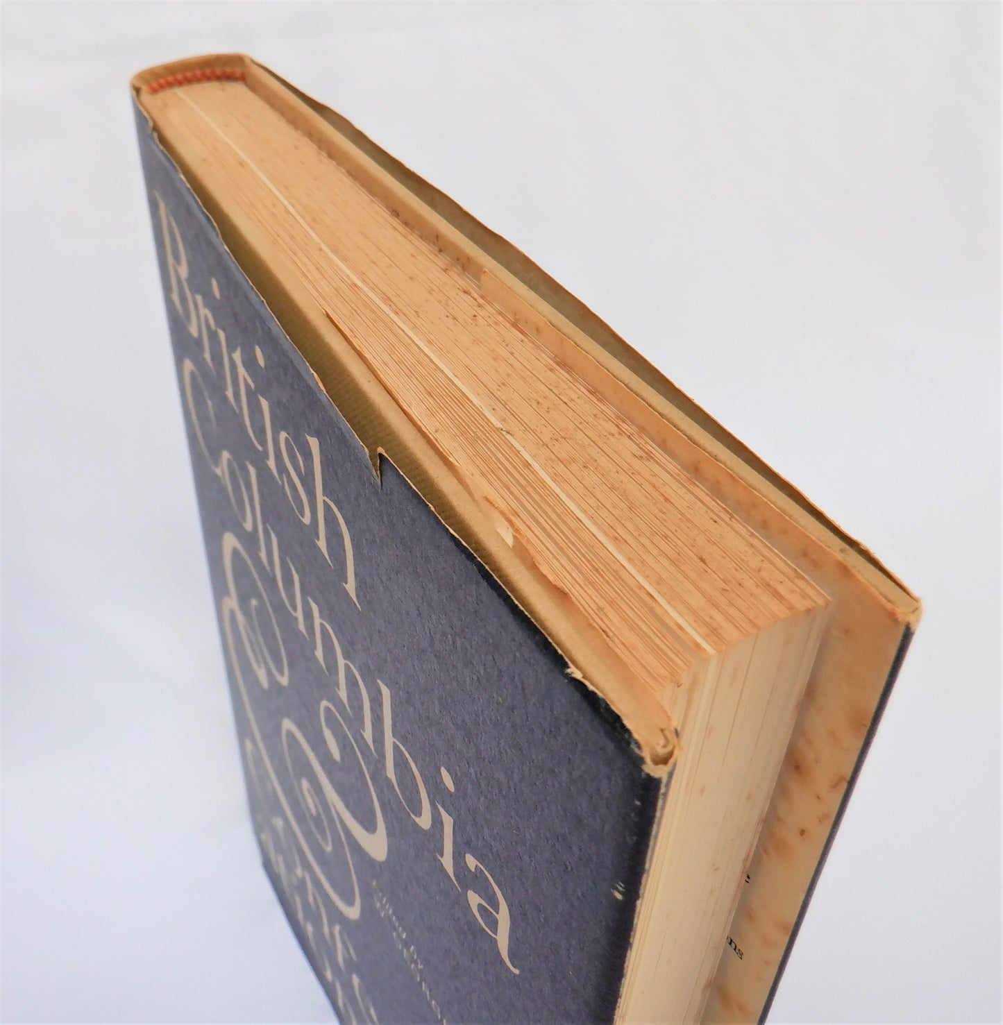BRITISH COLUMBIA & Confederation, A Collection of Essays, Edited by W. George Shelton (1967 1st Ed.)