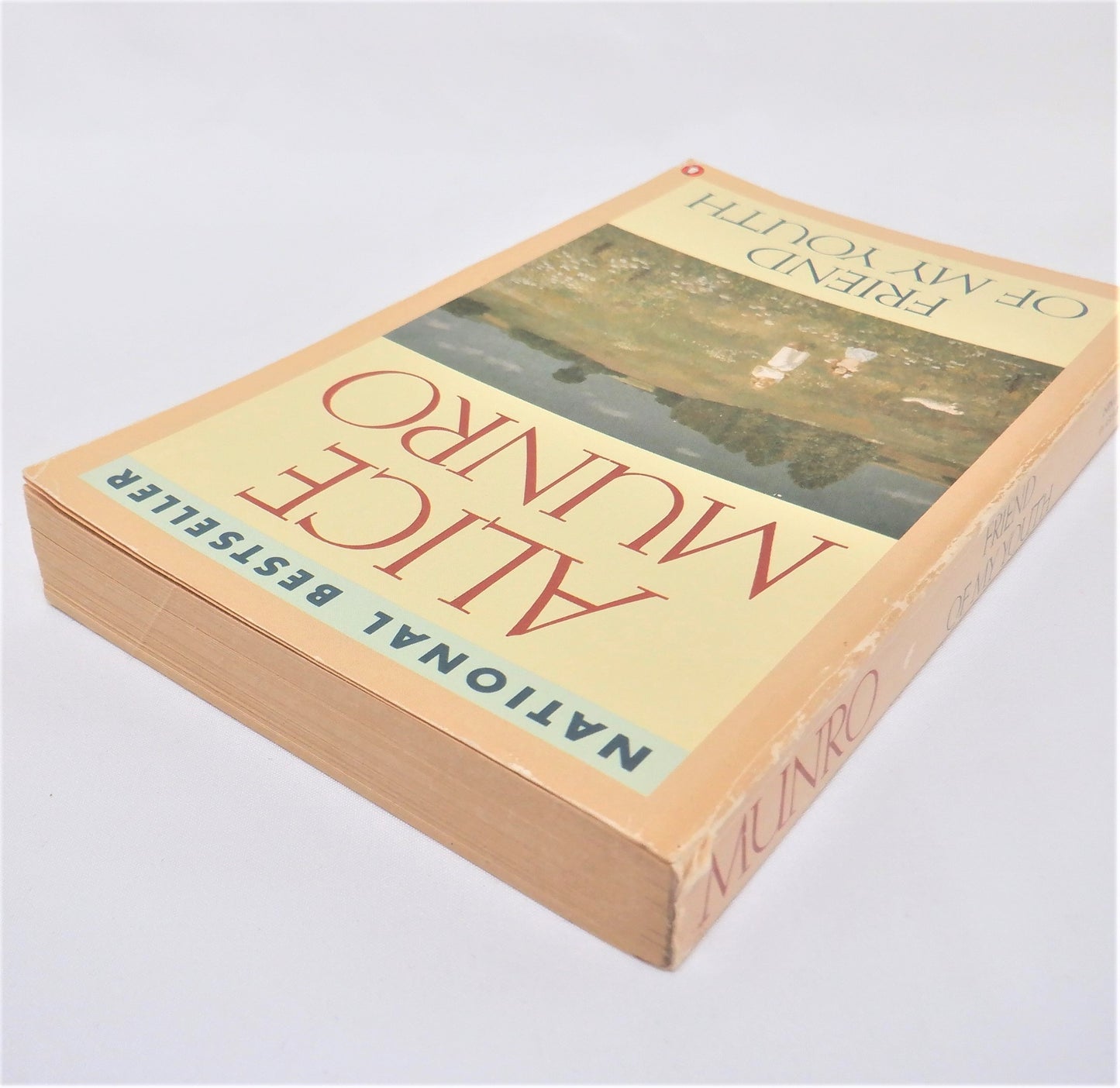 FRIEND OF MY YOUTH, Short Stories by Alice Munro, 1991
