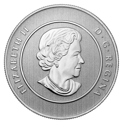 2013 $20 for $20 Pure Silver Coin: CANADA ICEBERG & WHALE