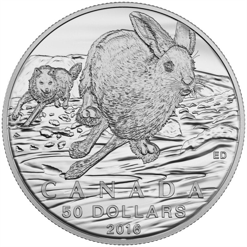 2016 $50 For $50 CANADA HARE Pure Silver Coin w/COA Card