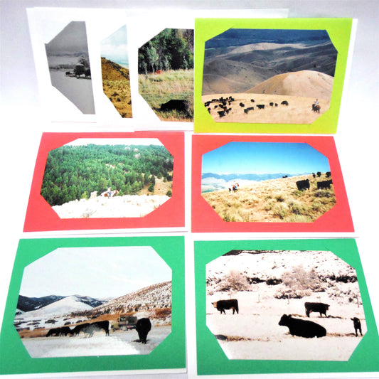 Vintage WESTERN CANADA PHOTO ART CARDS, Set of 8 Featuring Cows, Prairies, Mountains, Horses and more, in Colourful Hand-Made Cards!