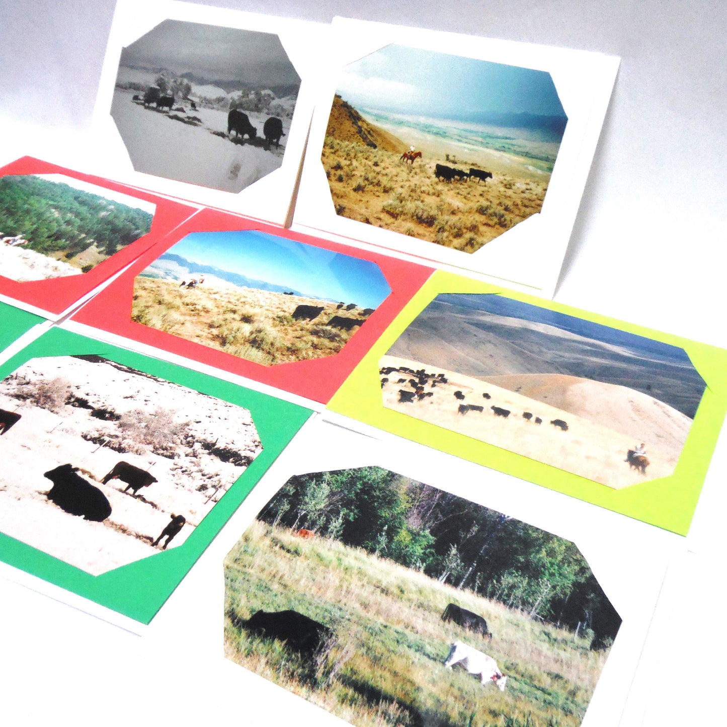 Vintage WESTERN CANADA PHOTO ART CARDS, Set of 8 Featuring Cows, Prairies, Mountains, Horses and more, in Colourful Hand-Made Cards!