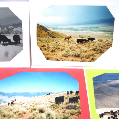 Vintage WESTERN CANADA PHOTO ART CARDS, Set of 8 Featuring Cows, Prairies, Mountains, Horses and more, in Colourful Hand-Made Cards!