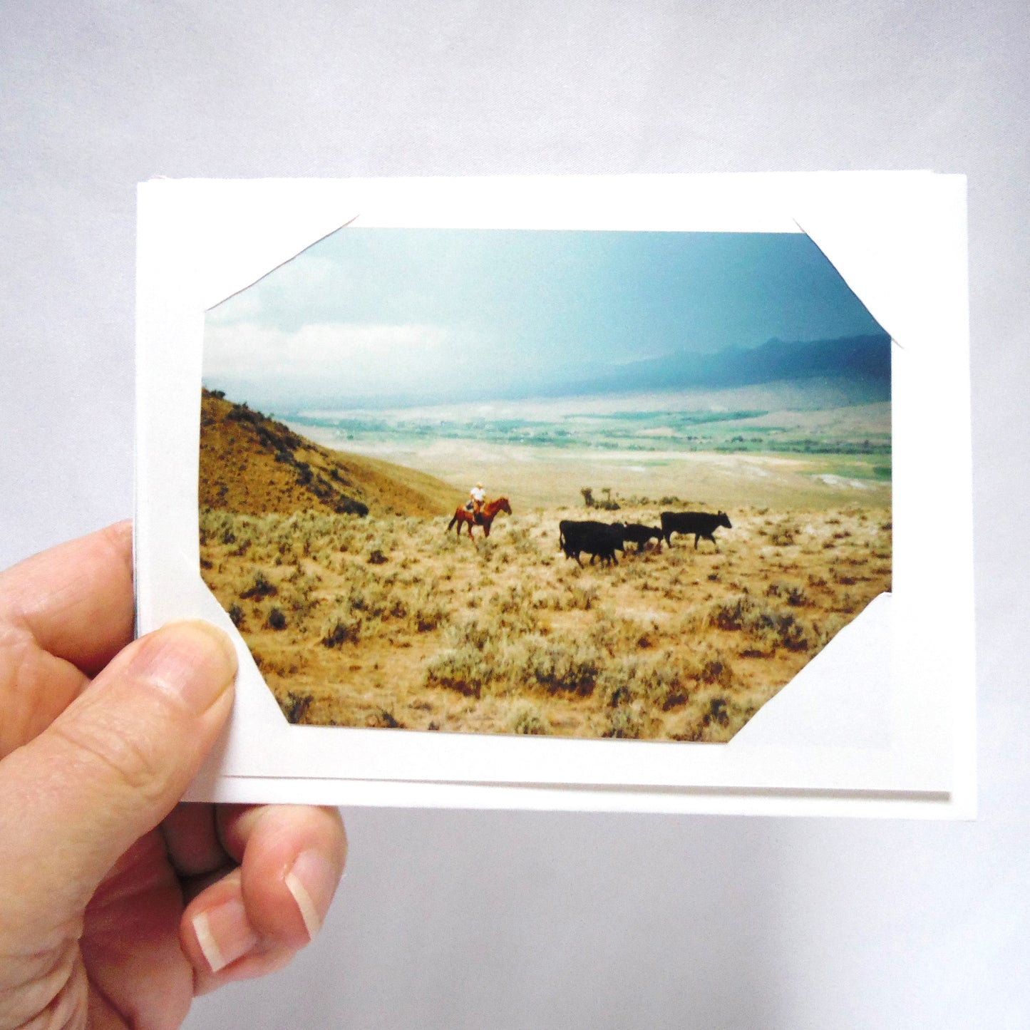 Vintage WESTERN CANADA PHOTO ART CARDS, Set of 8 Featuring Cows, Prairies, Mountains, Horses and more, in Colourful Hand-Made Cards!