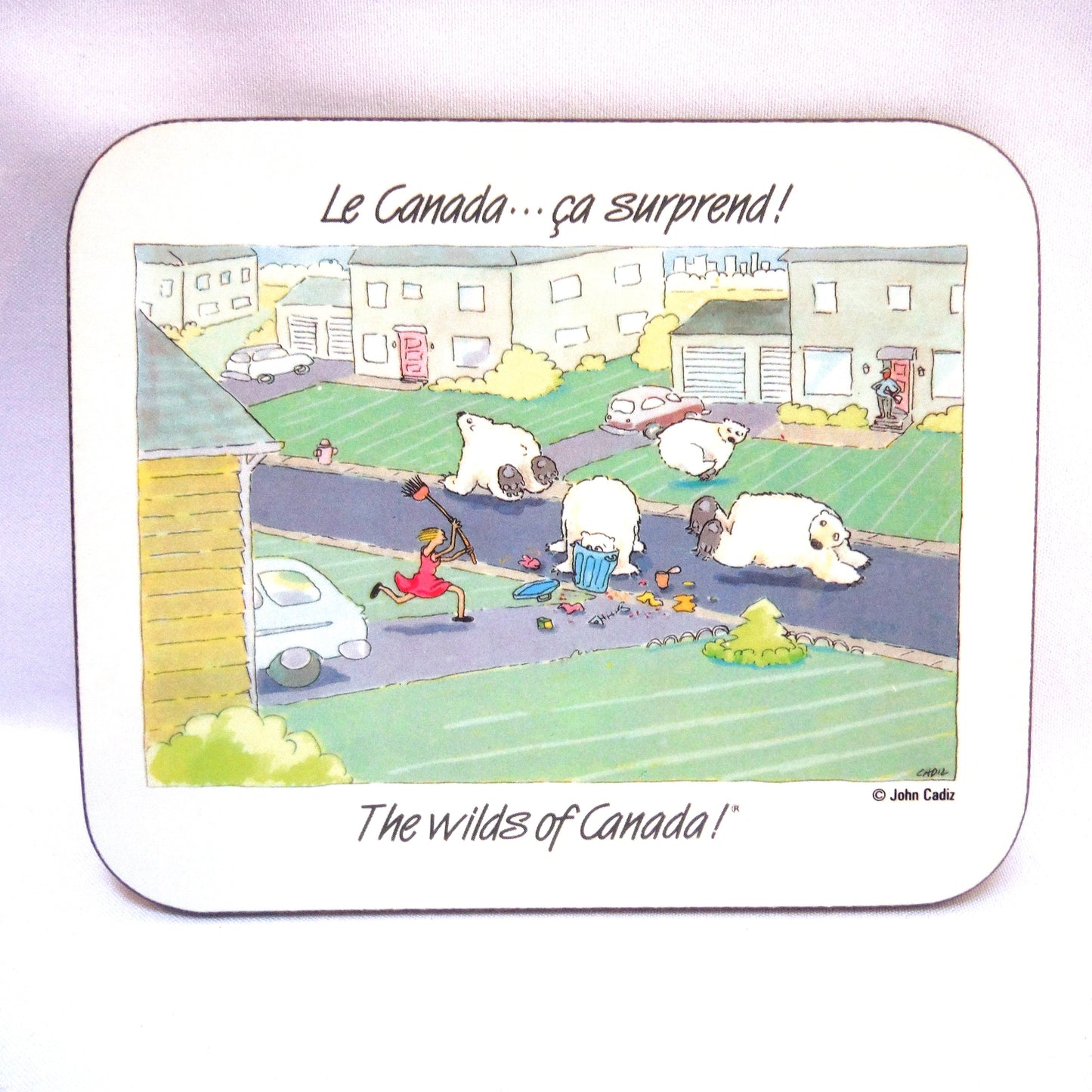 SET OF 6 CHRISTMAS EDITION JASON COASTERS of NEW ZEALAND: 'The Wilds of Canada - ca surprend!'