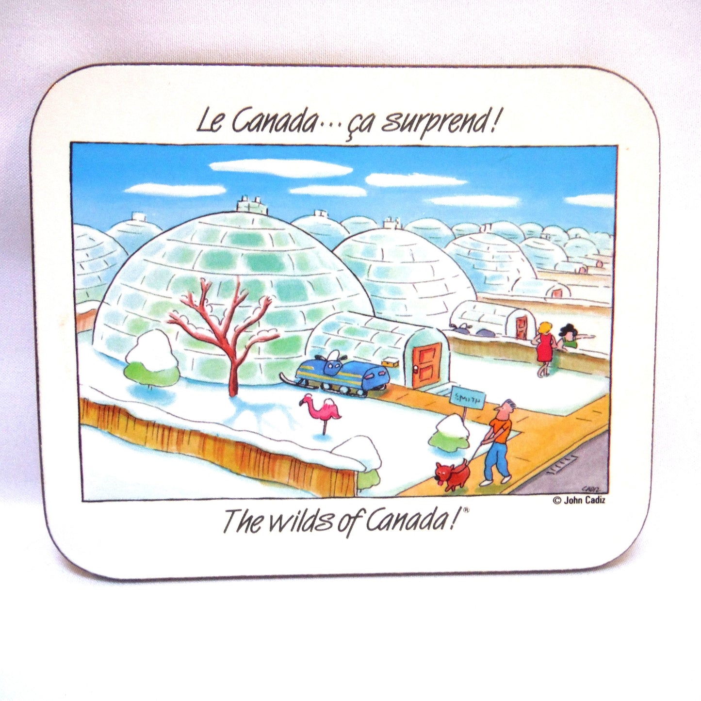 SET OF 6 CHRISTMAS EDITION JASON COASTERS of NEW ZEALAND: 'The Wilds of Canada - ca surprend!'