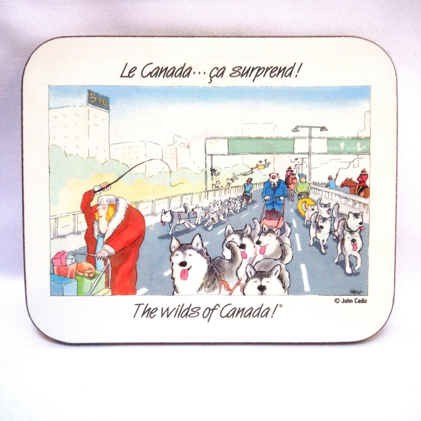 SET OF 6 CHRISTMAS EDITION JASON COASTERS of NEW ZEALAND: 'The Wilds of Canada - ca surprend!'