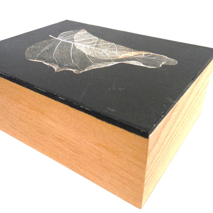 Solid Wood-Box Style ARTWORK, Signed by the Artist Raeanne Schachter: 'SIGNATURE'