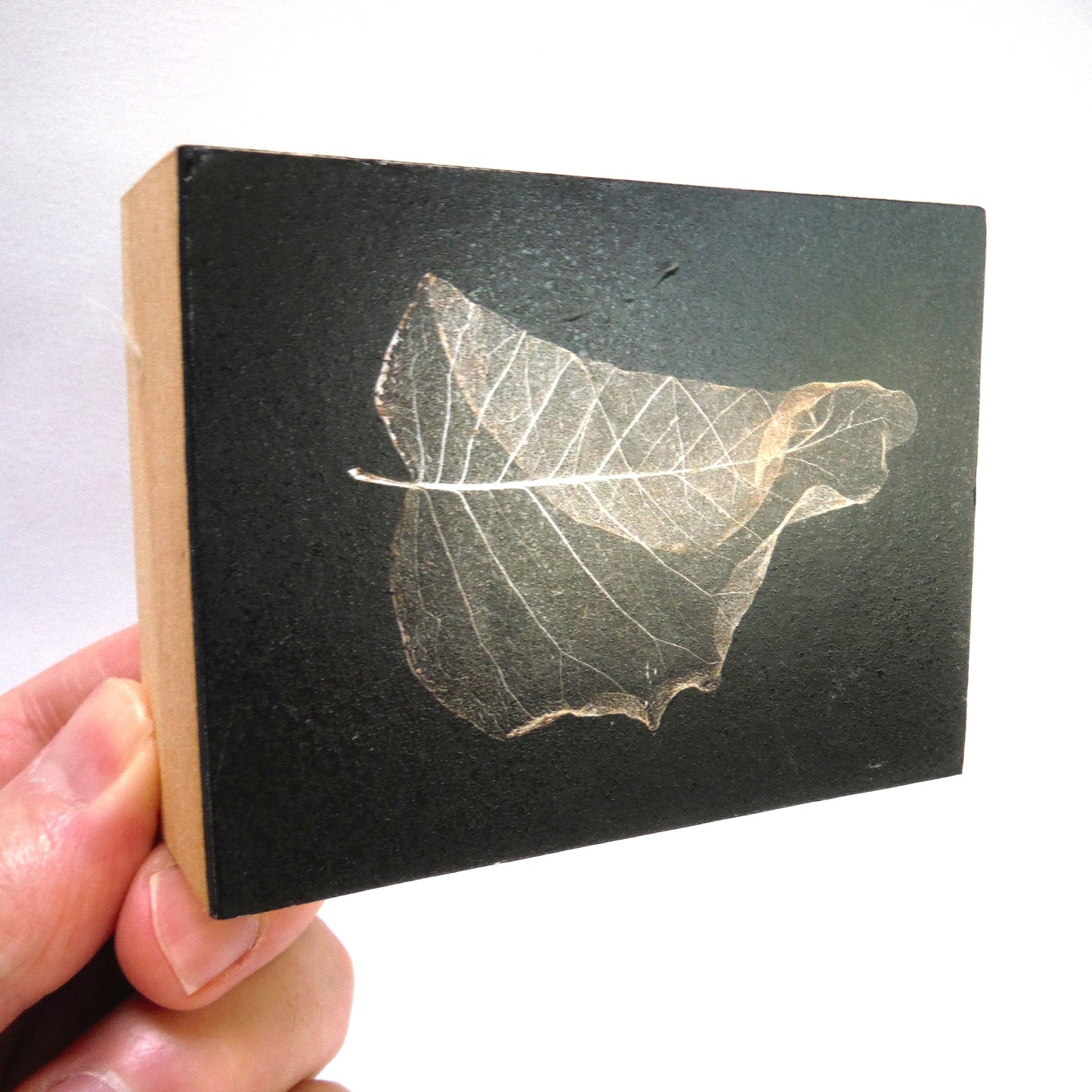 Solid Wood-Box Style ARTWORK, Signed by the Artist Raeanne Schachter: 'SIGNATURE'