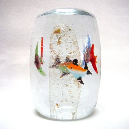 Hand Blown Multi-Coloured Clear Glass Paperweight: The Blue Green Red SWIMMING IN CIRCLES TROPICAL FISH