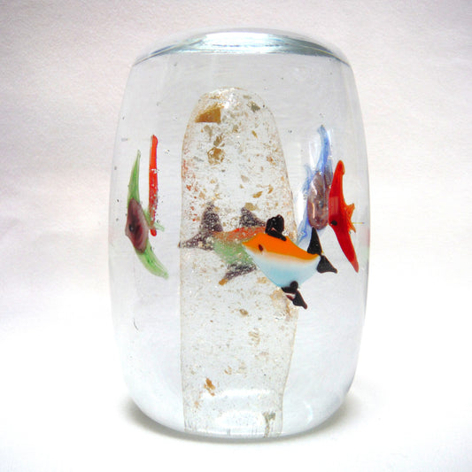Hand Blown Multi-Coloured Clear Glass Paperweight: The Blue Green Red SWIMMING IN CIRCLES TROPICAL FISH