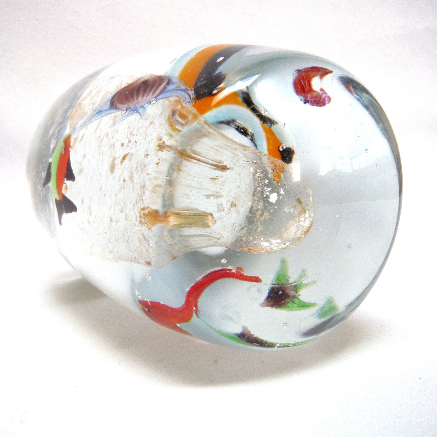 Hand Blown Multi-Coloured Clear Glass Paperweight: The Blue Green Red SWIMMING IN CIRCLES TROPICAL FISH