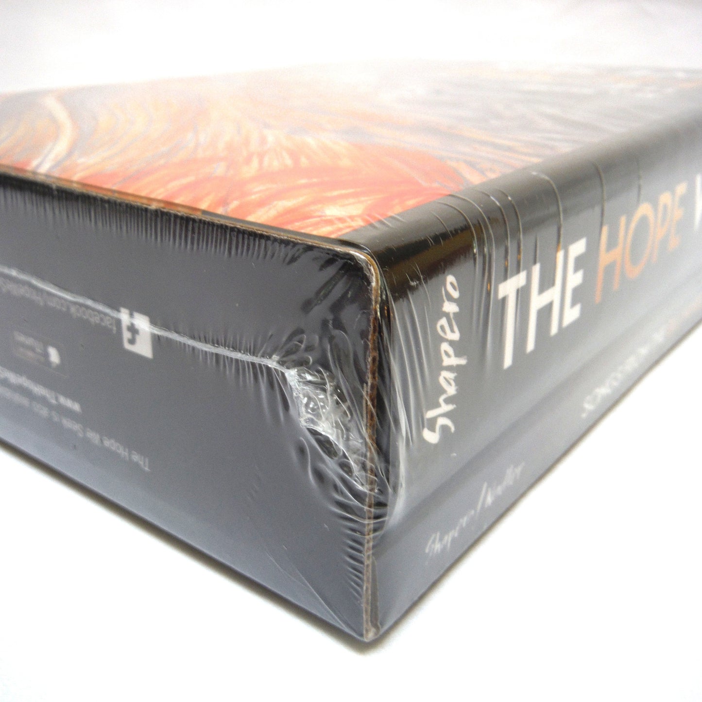 RICH SHAPERO'S "THE HOPE WE SEEK", 2014 Hardcover Book and Music DVD Boxed Set BRAND NEW-OLD STOCK