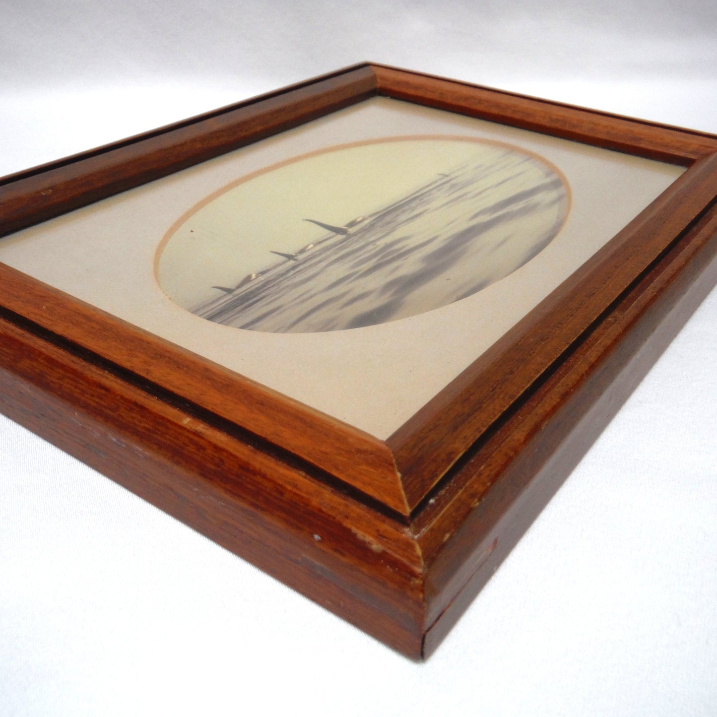 1956 Mid-Century B&W Sepia-Toned Wood Framed Photograph: 'FOUR ORCA KILLER WHALES'