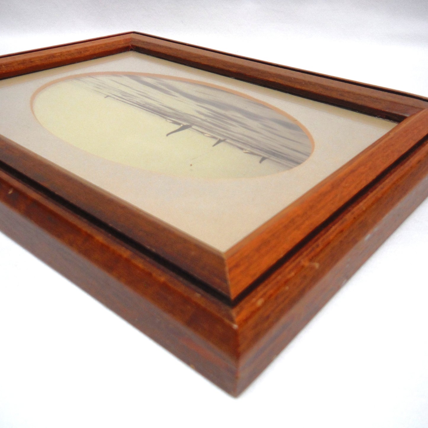 1956 Mid-Century B&W Sepia-Toned Wood Framed Photograph: 'FOUR ORCA KILLER WHALES'