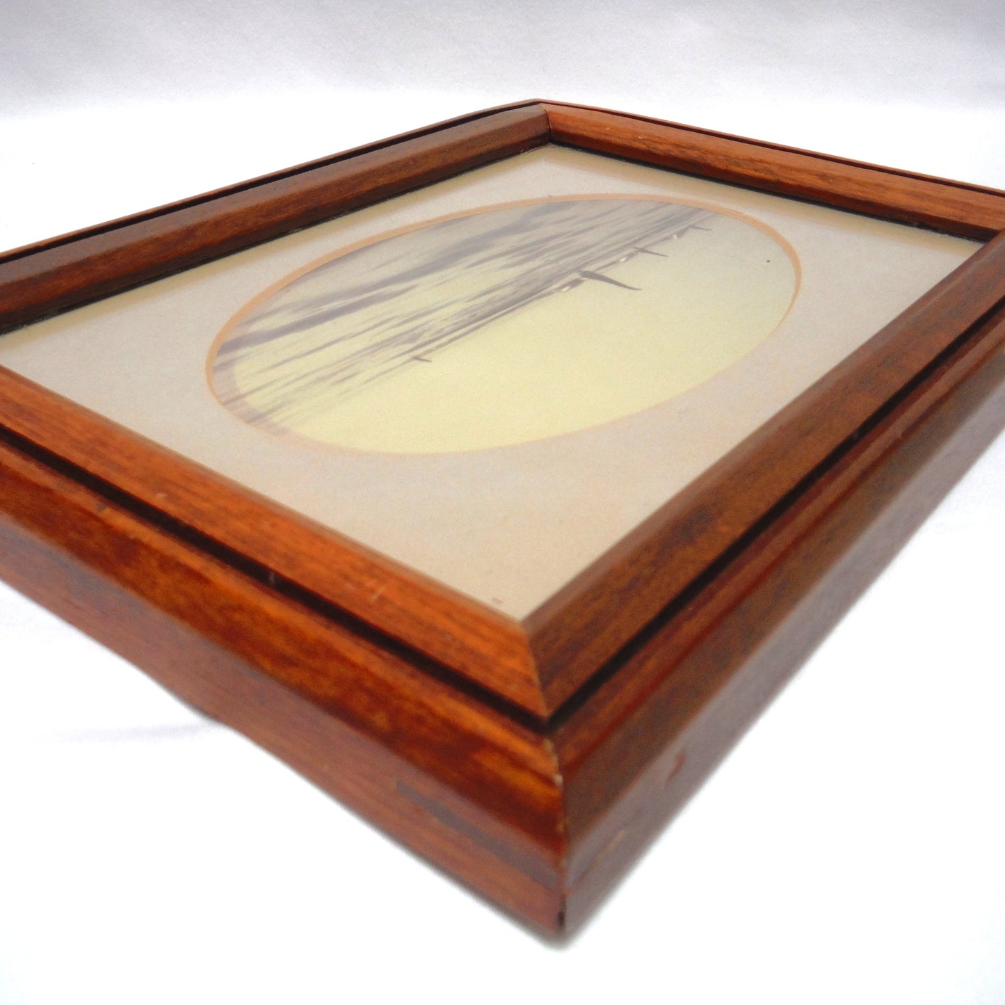 1956 Mid-Century B&W Sepia-Toned Wood Framed Photograph: 'FOUR ORCA KILLER WHALES'