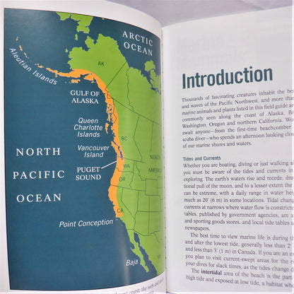 PACIFIC REEF & SHORE, A Photo Guide to Northwest Marine Life, by R. M. Harbo, 2006