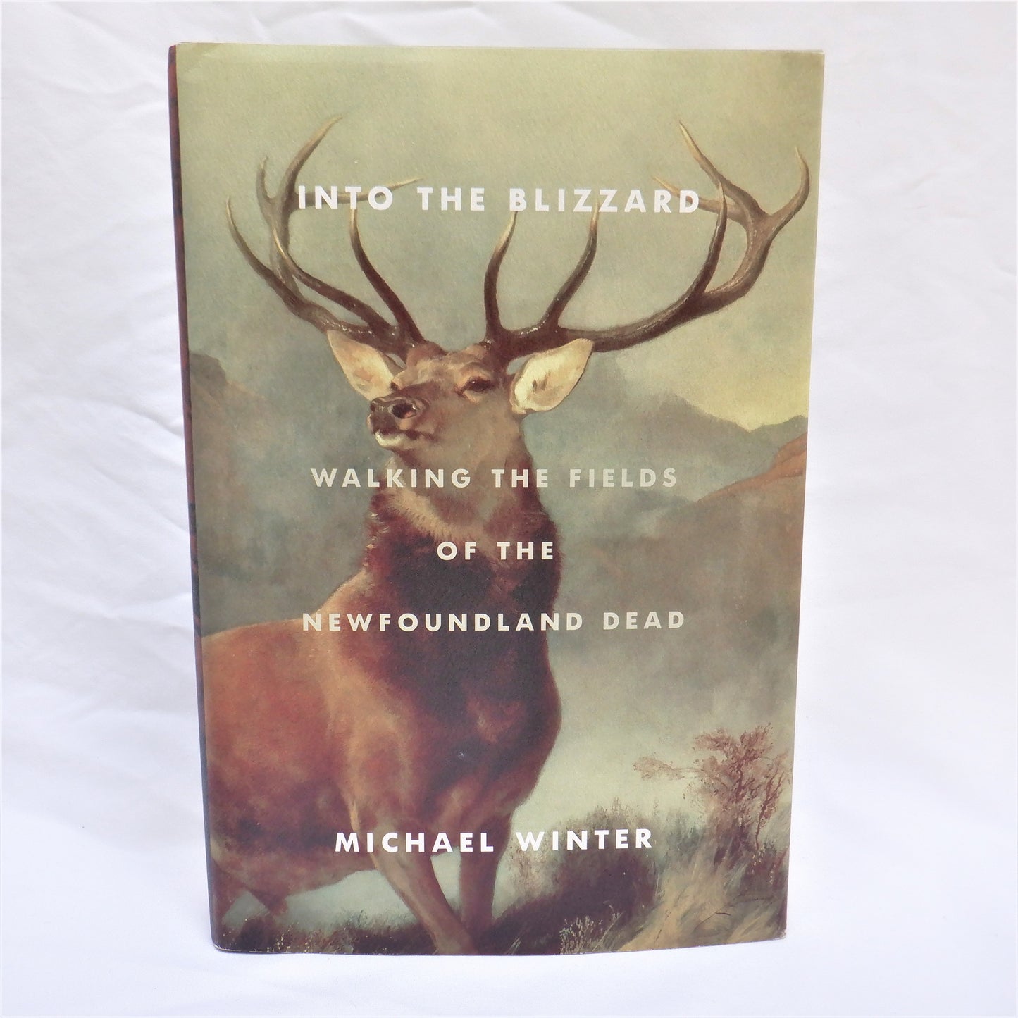 INTO THE BLIZZARD, Walking The Fields of the Newfoundland Dead, by Michael Winter (2014 1st Ed.)