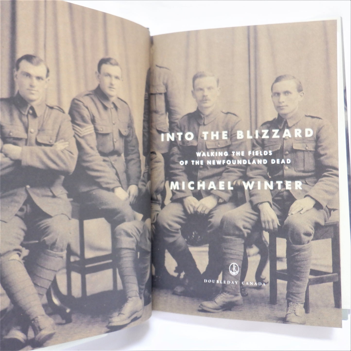 INTO THE BLIZZARD, Walking The Fields of the Newfoundland Dead, by Michael Winter (2014 1st Ed.)