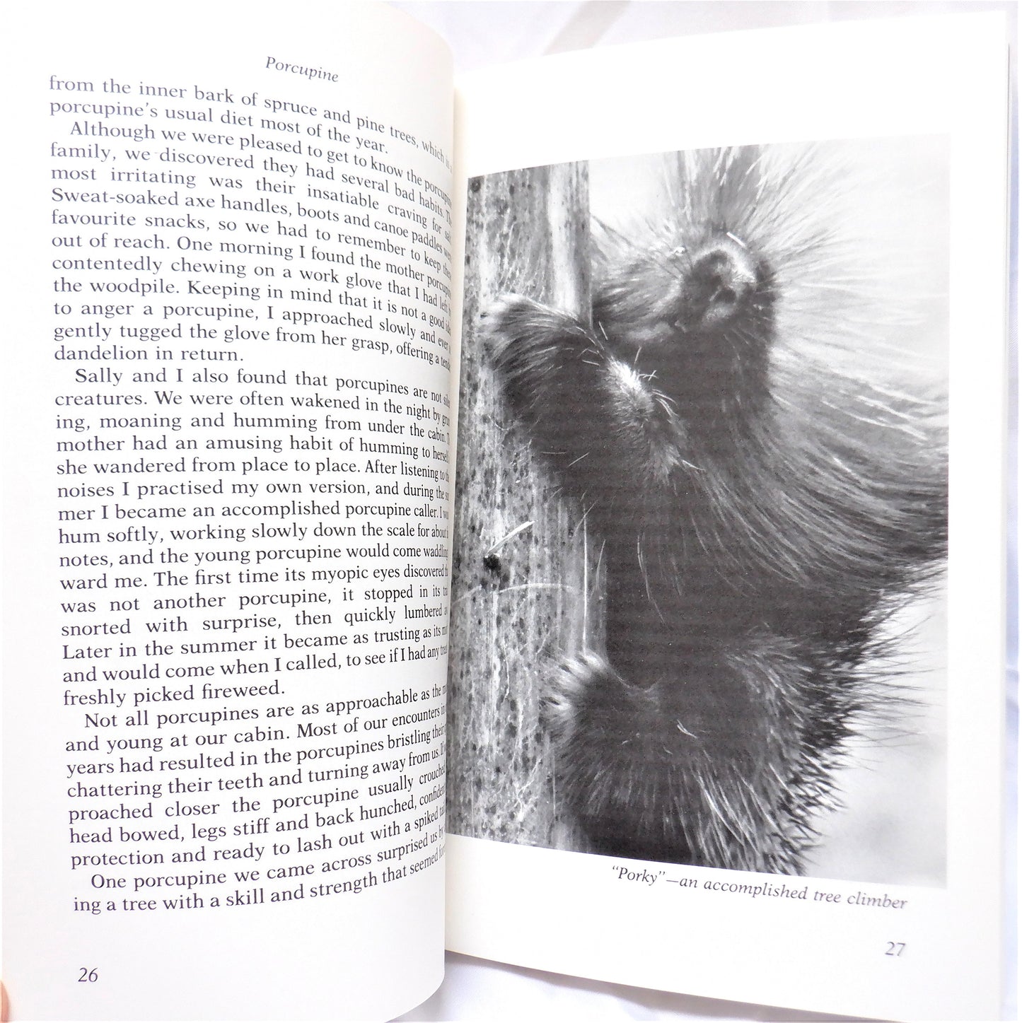 WILD & FREE, Living with Wildlife in Canada's North, by Ian & Sally Wilson (1st Ed. SIGNED)