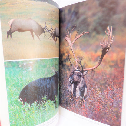 WILD & FREE, Living with Wildlife in Canada's North, by Ian & Sally Wilson (1st Ed. SIGNED)