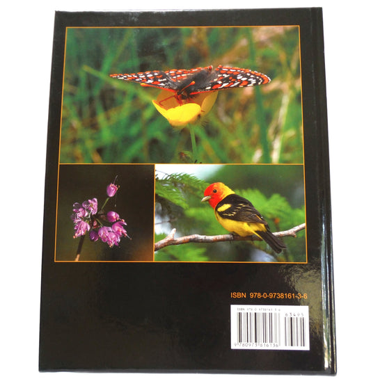 NATURE, Denman & Hornby, A Photographic Book Volume One, by Mike Yip (1st Ed. SIGNED)