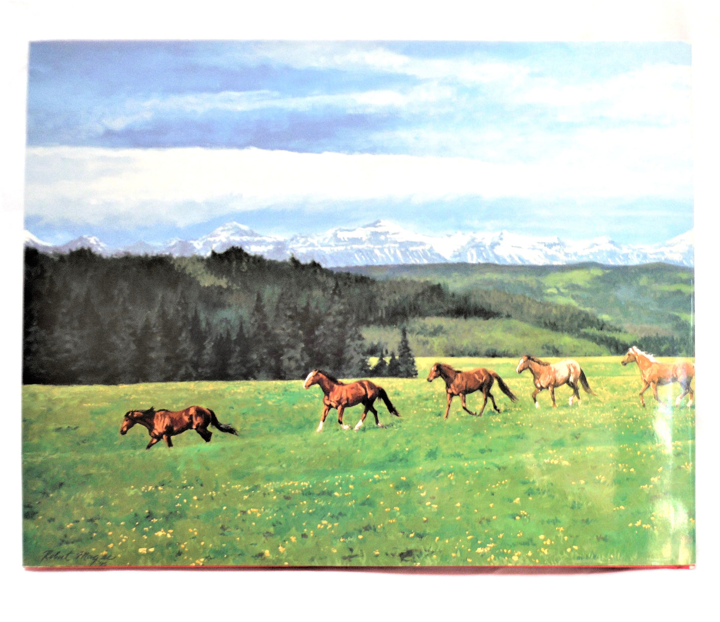 LEGENDARY HORSEMEN, Images of the Canadian West by Gordon Jaremko & David Finch, Paintings by Robert Magee (1st Ed. SIGNED)