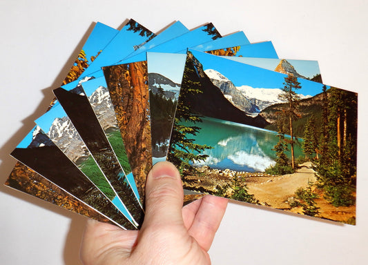 Original DON HARMON GREETING CARDS, Vintage Set of 5, Blank Inside with BONUS CARDS! 1960's