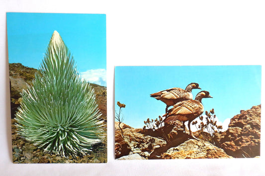 POSTCARD, Set of 2, Vintage Postcards of Fowl & Fauna in The Haleakala National Park, HAWAII