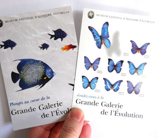 POSTCARD, Set of 2, Vintage Fish & Butterfly Postcards from Le Museum National D'Histoire Naturelle, PARIS, FRANCE