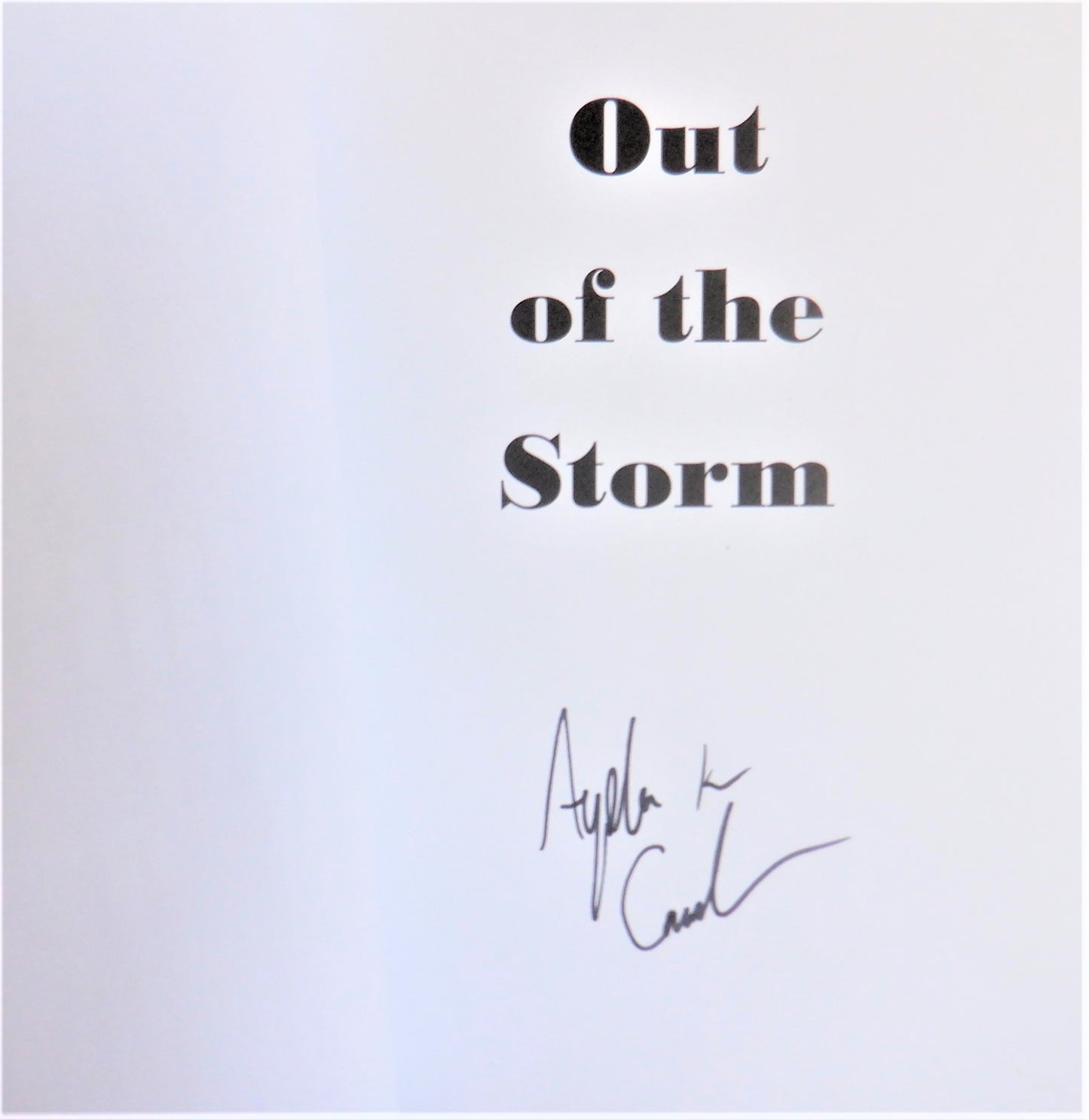 OUT OF THE STORM, A Collection of Award-Winning Short Stories, Edited by Lynellen D.S. Perry (1st Ed. SIGNED)