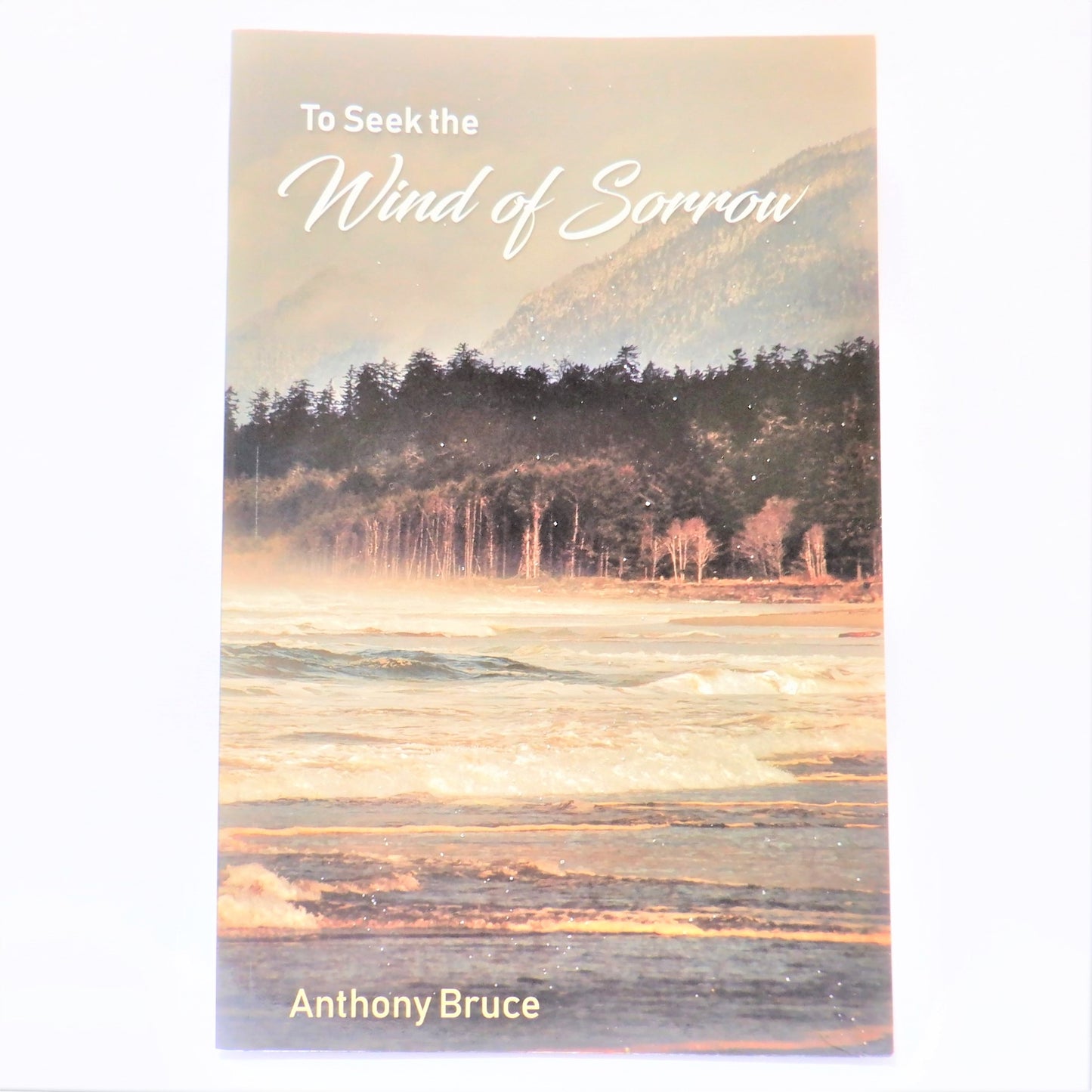 TO SEEK THE WIND OF SORROW, A New Thriller Novel by Anthony Bruce (1st Ed. SIGNED)