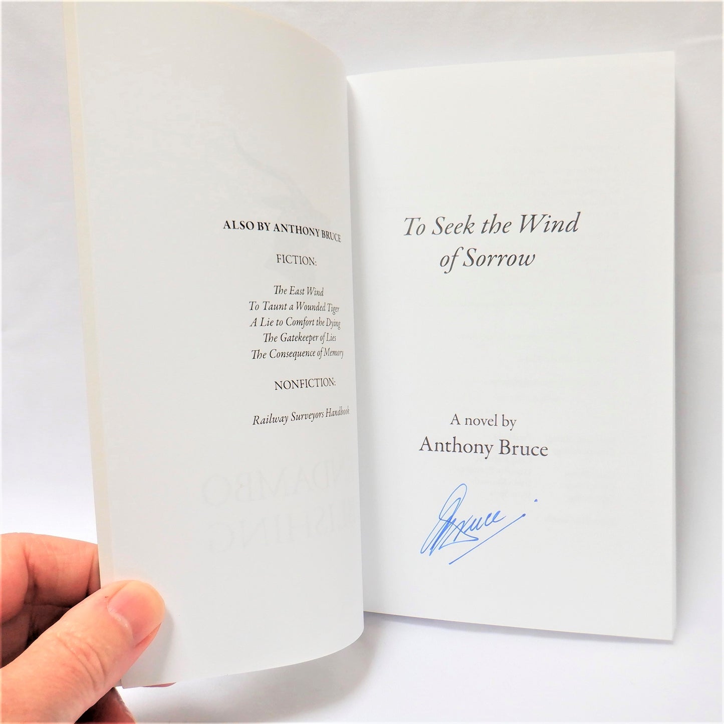 TO SEEK THE WIND OF SORROW, A New Thriller Novel by Anthony Bruce (1st Ed. SIGNED)