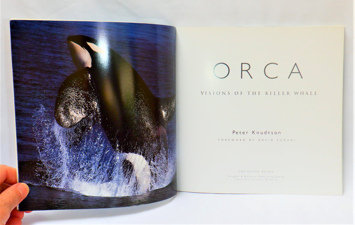 ORCA, VISIONS OF THE KILLER WHALE, By Peter Knudtson (2004 1st Ed.)