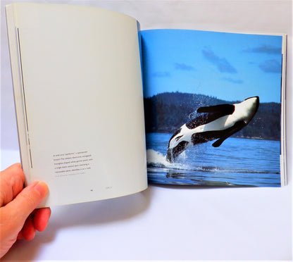 ORCA, VISIONS OF THE KILLER WHALE, By Peter Knudtson (2004 1st Ed.)