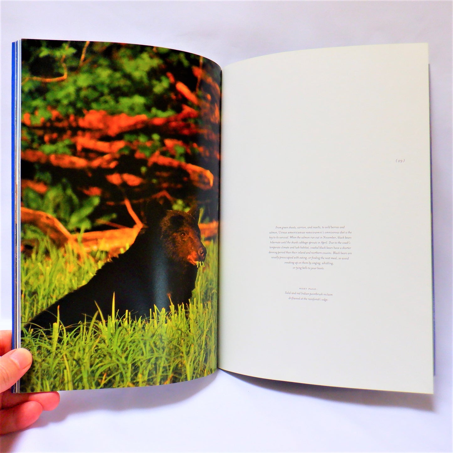 LONG BEACH, CLAYOQUOT and BEYOND...A Pictorial Book by Brian Payton (1997 1st Ed.)